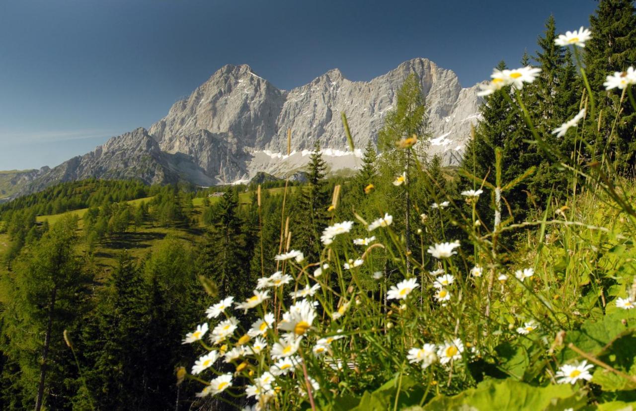 Alma&Antonia Apartment Schladming Luaran gambar
